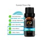 Okyanus Kokulu Buhurdanlık Yağı Aromaterapi Yağ Difüzör Esansı Buhur Yağ Oda Kokusu 10 Ml.